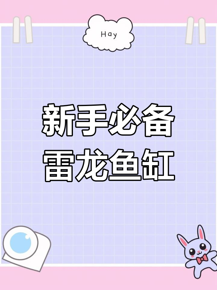 简单雷龙鱼缸造景,适合新手入门