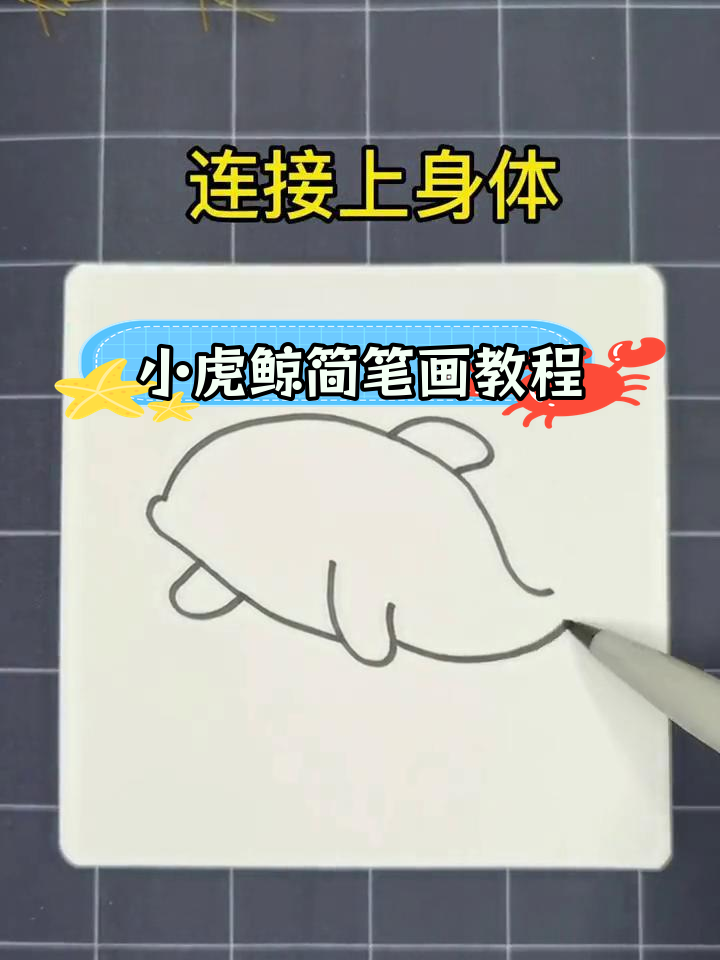 轻松学会画小虎鲸