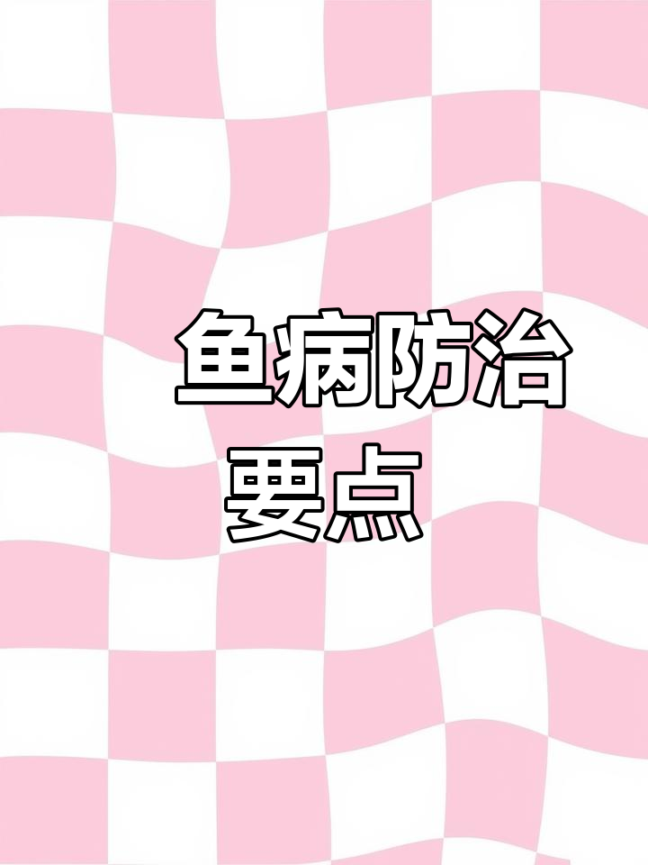 鮰鱼疾病预防与控制:如何应对小瓜虫等常见问题