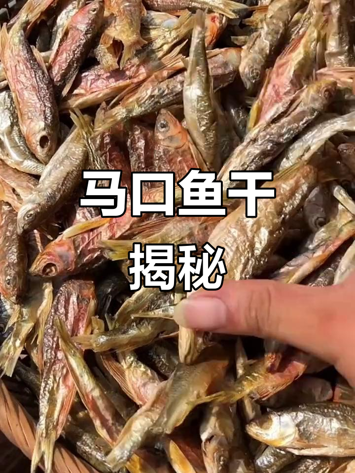 溪水马口鱼干,桃花鱼的秘密你了解吗?
