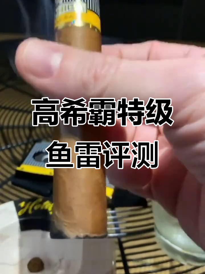 高希霸特级鱼雷品鉴:从甜到豆蔻,完美雪茄体验
