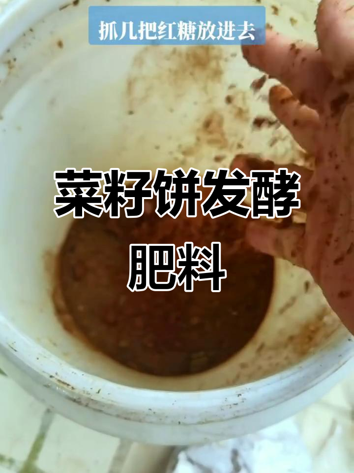 用菜籽饼发酵有机肥,快速不臭,浇花种菜效果超好
