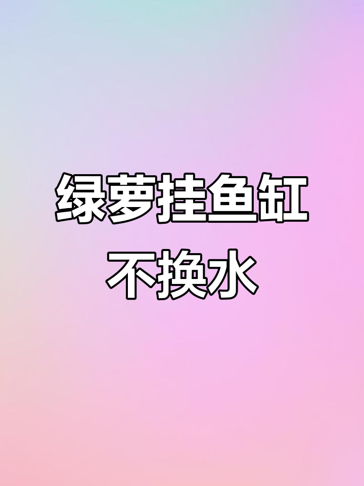 绿萝鱼缸净化法,轻松解决水质问题