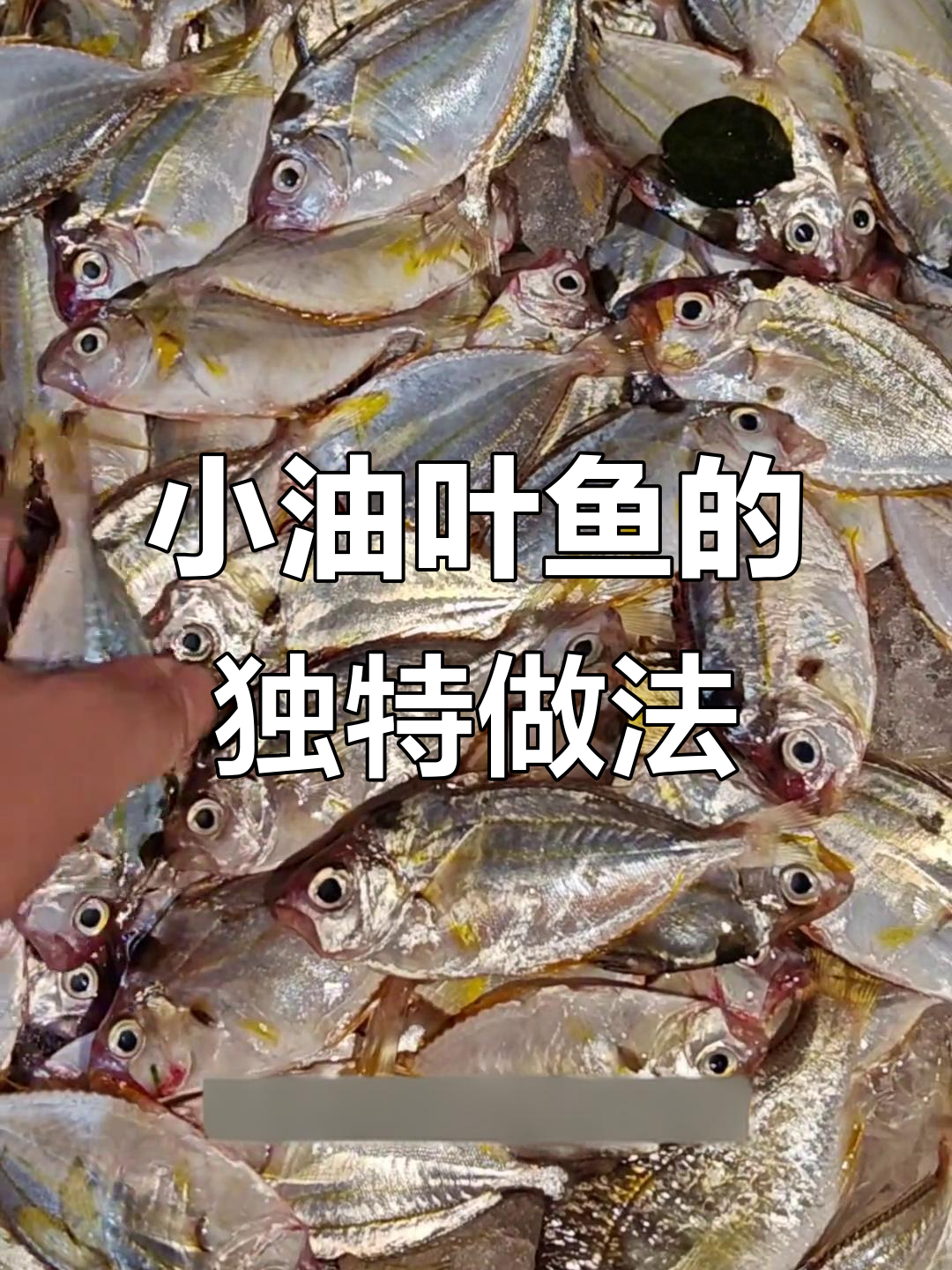 小油叶鱼:汤鲜甜,砂锅焗更香