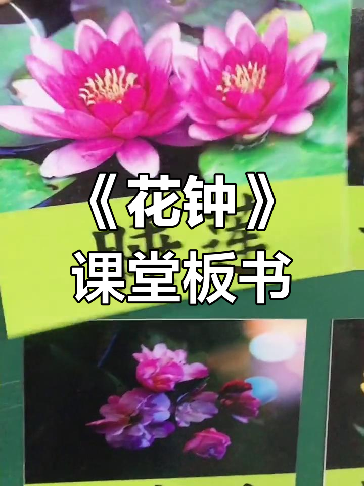 三年级下册《花钟》优质公开课板书设计,磁性背面方便粘贴