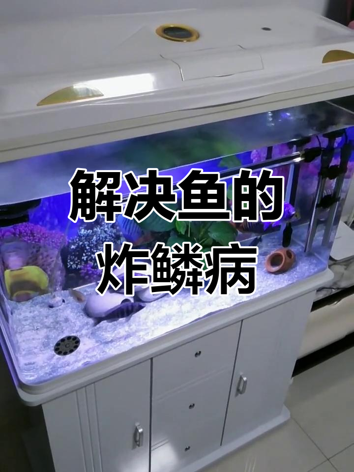 鱼鳞病治疗全攻略,轻松解决全身性炸磷问题