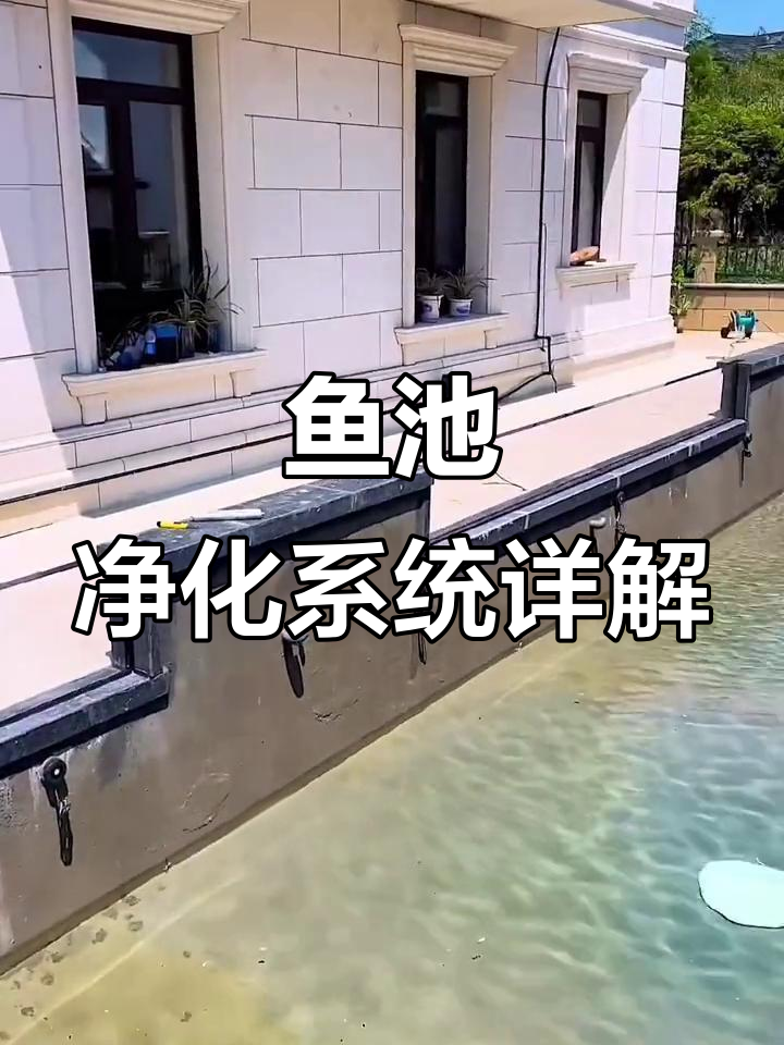 鱼池过滤系统全解析：从细菌污仓到清水仓的完美设计