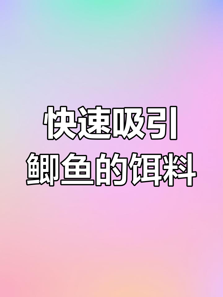 老鬼金发故宫二号饵料评测:诱鱼迅速,久聚不散