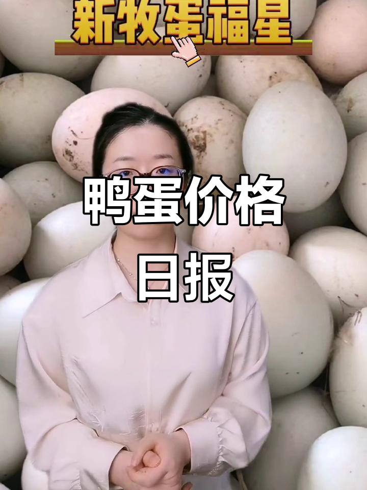 鸭蛋与淘汰鸭价格每日更新,养殖市场行情一网打尽!