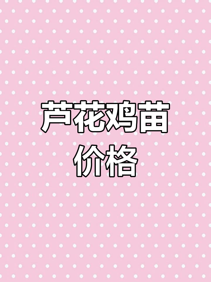 芦花鸡苗价格与养殖优势,家庭小院也能轻松养