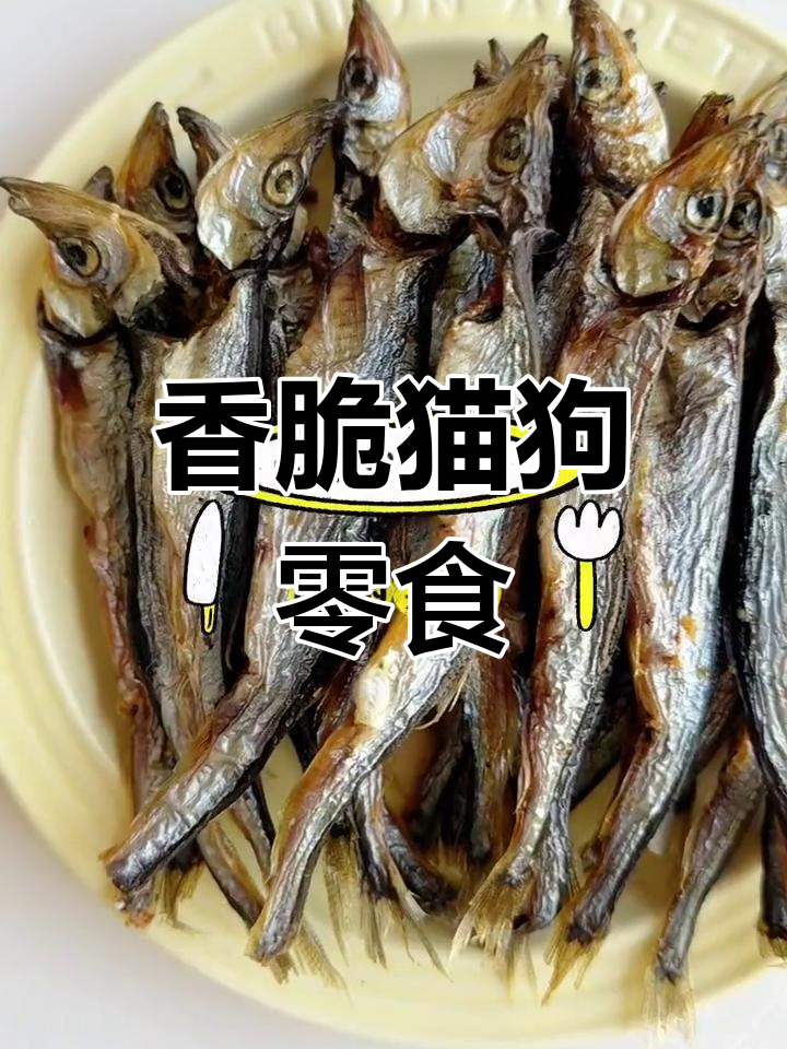 自制多春鱼零食,猫咪的最爱