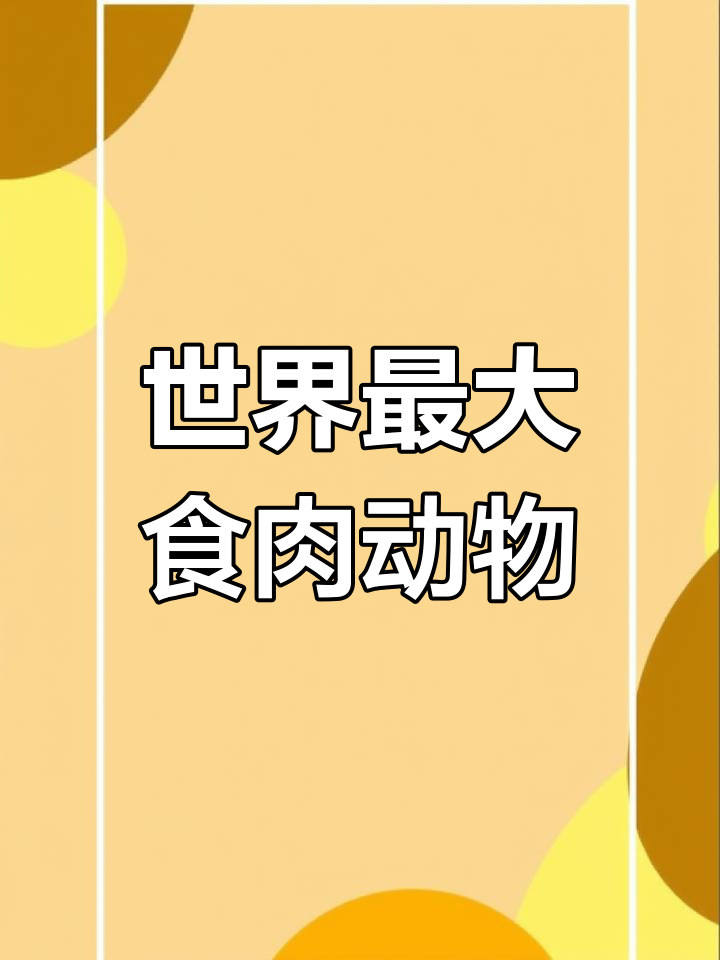 棕熊:世界上最大的食肉动物,揭秘它们的栖息地与捕猎技巧