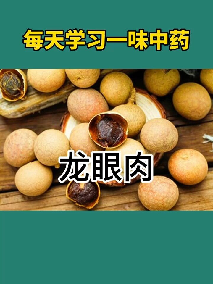 每天学习一味中药 龙眼肉