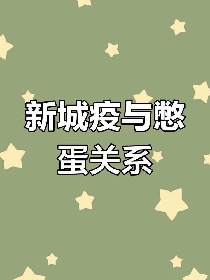 160天蛋鸡憋蛋问题，新城疫抗体低下是关键