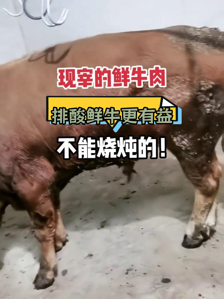 新鲜牛肉排酸后更营养,口感更好