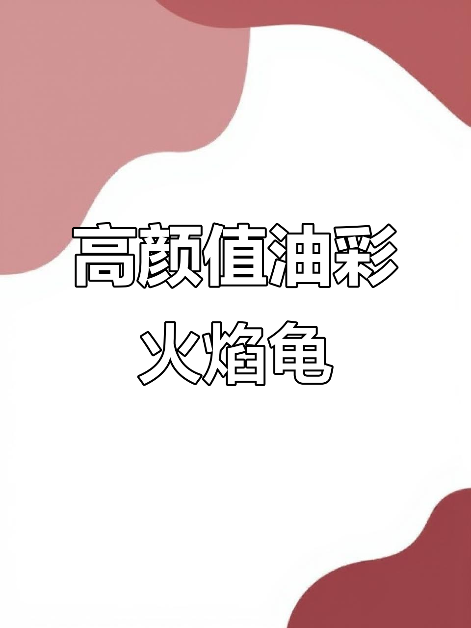 海南大河甜甜圈,颜值爆表!玩龟就得选高级货