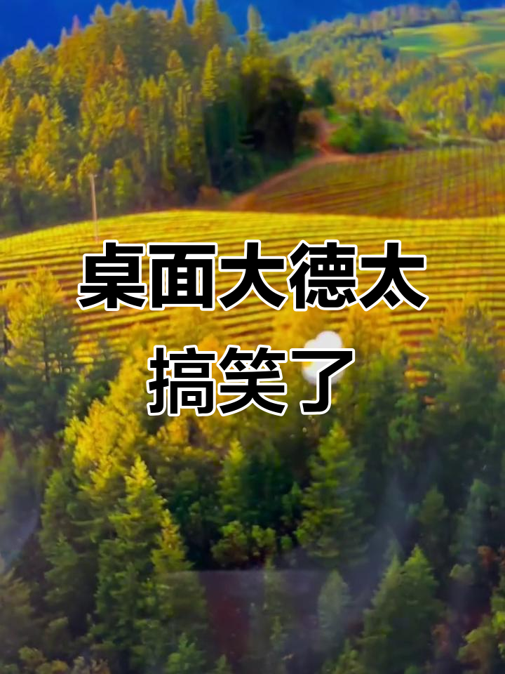 桌面大鹅来袭,走路大叫还拖表情,鼠标掉不停