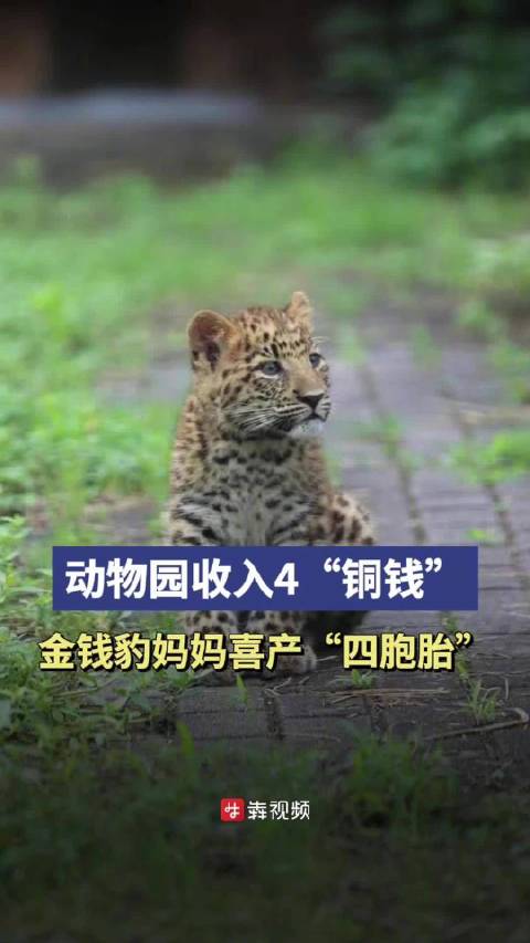 今年上半年,长沙生态动物园迎来了动物宝宝的新生季,一个个新生命在动物园诞生。2月18日,该