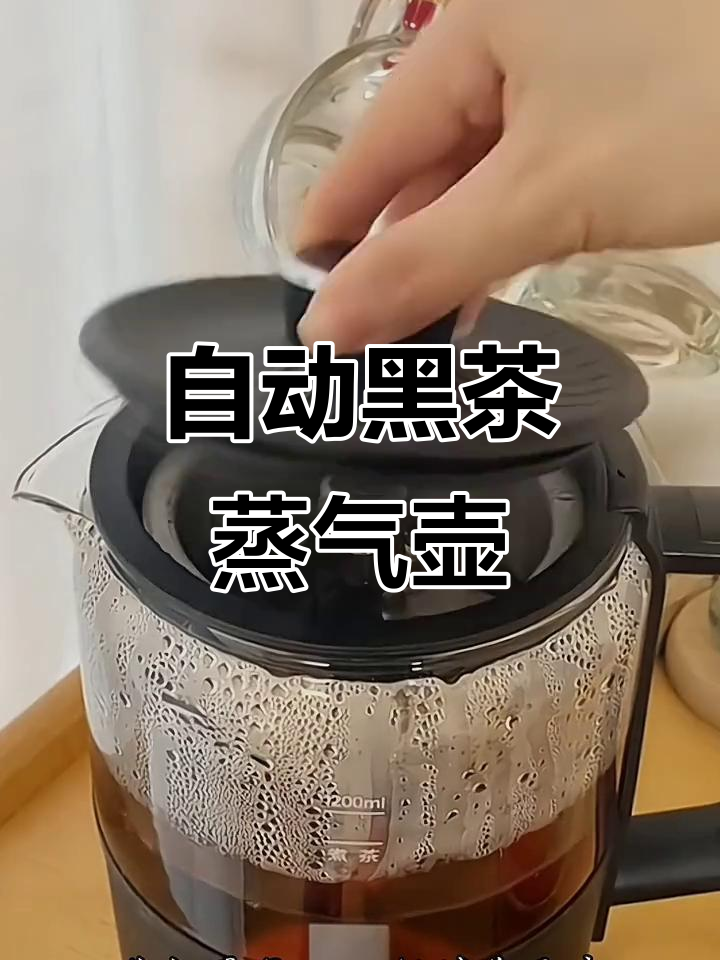 容声黑茶蒸汽电壶,全自动智能煮水养生神器