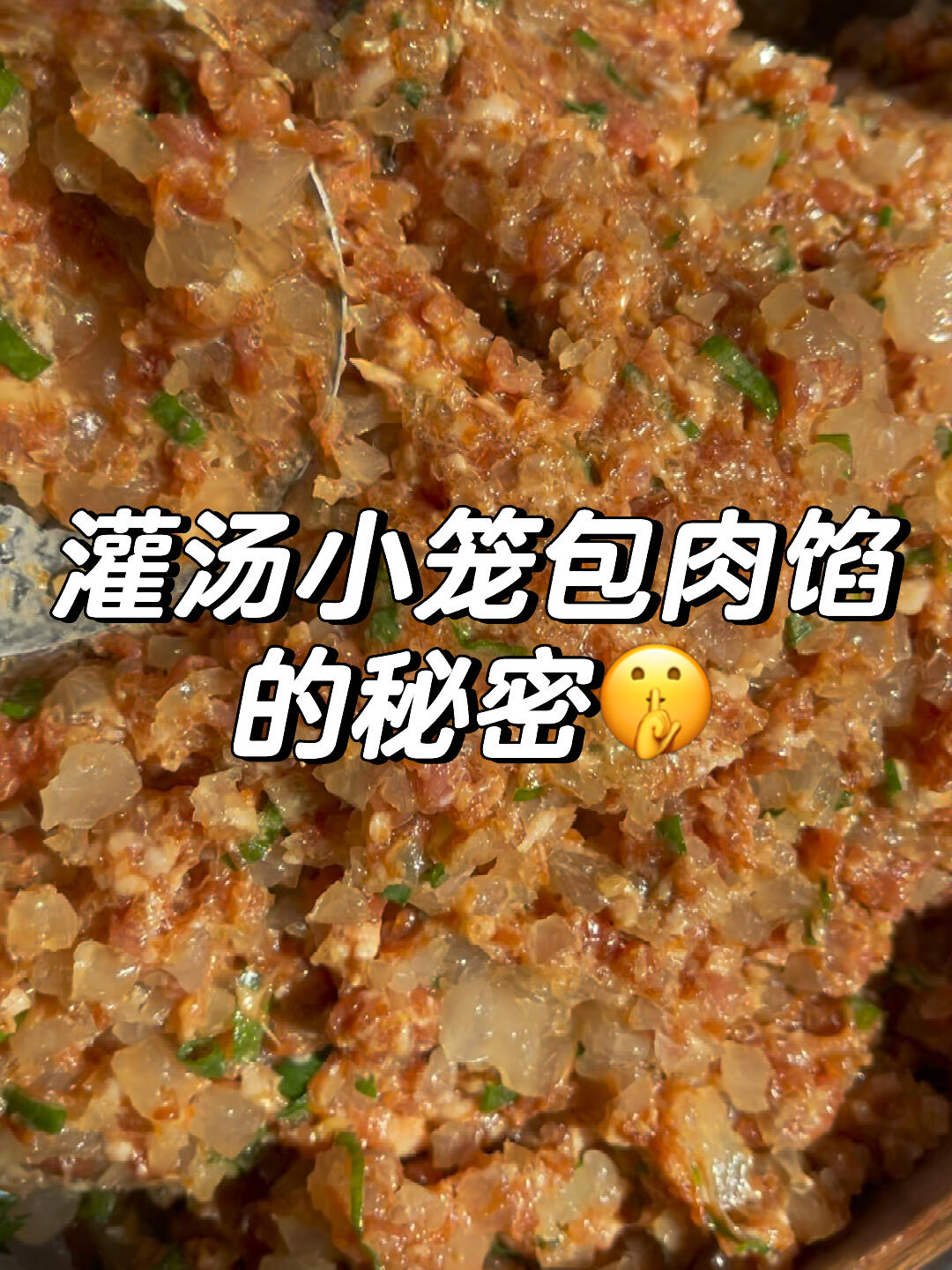 私房灌汤小笼包肉馅的密