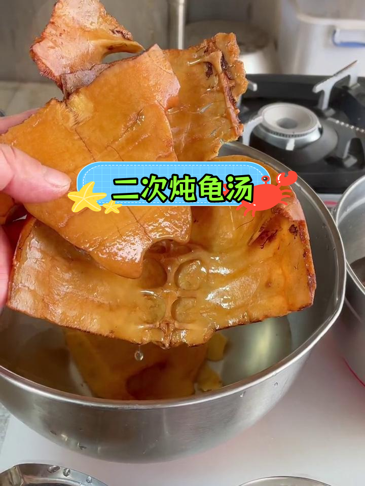 土茯苓炖龟板,二次炖煮更美味