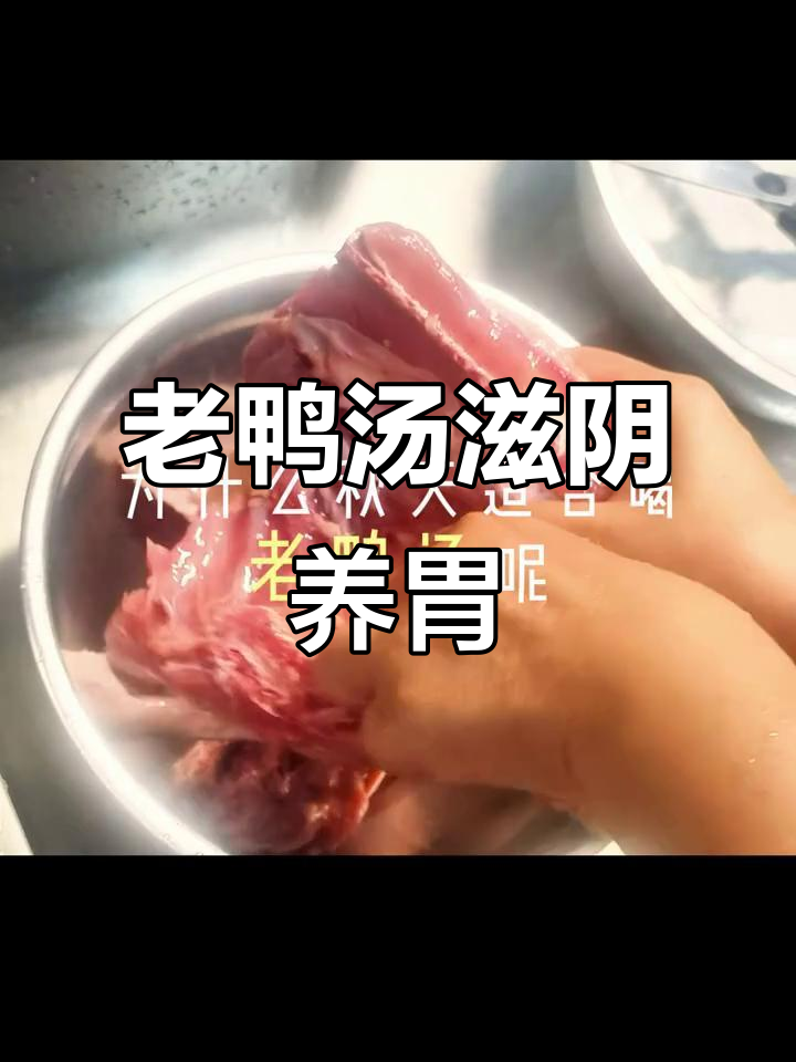 秋季滋补老鸭汤,沙参玉竹润燥养生