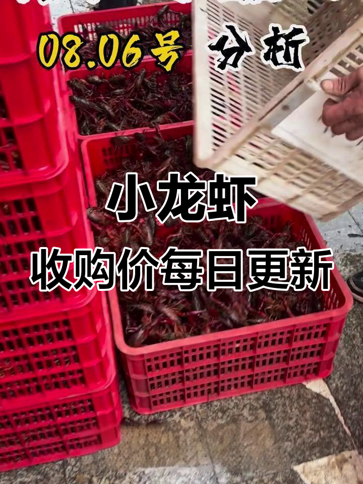 潜江小龙虾价格波动:今天涨明天跌,行情变幻莫测