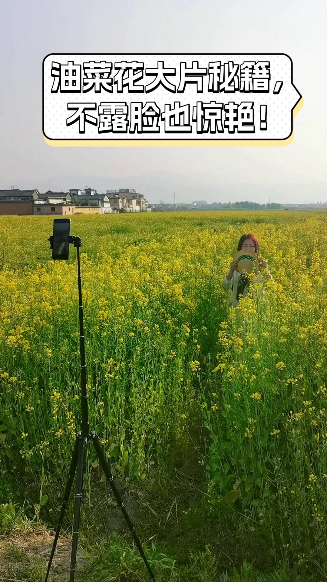 油菜花大片秘籍,不露脸也惊艳!