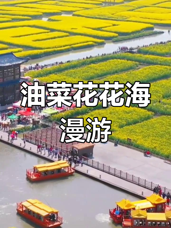 泰州千垛景区:油菜花海与水景相融,船行其中如仙境