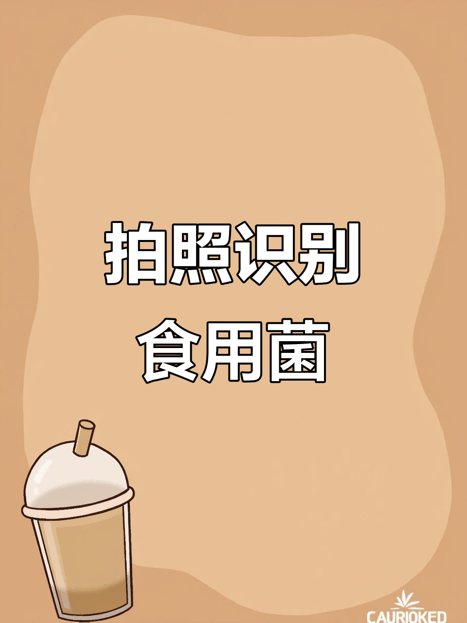 云南野生菌拍照识品种,质量溯源系统上线