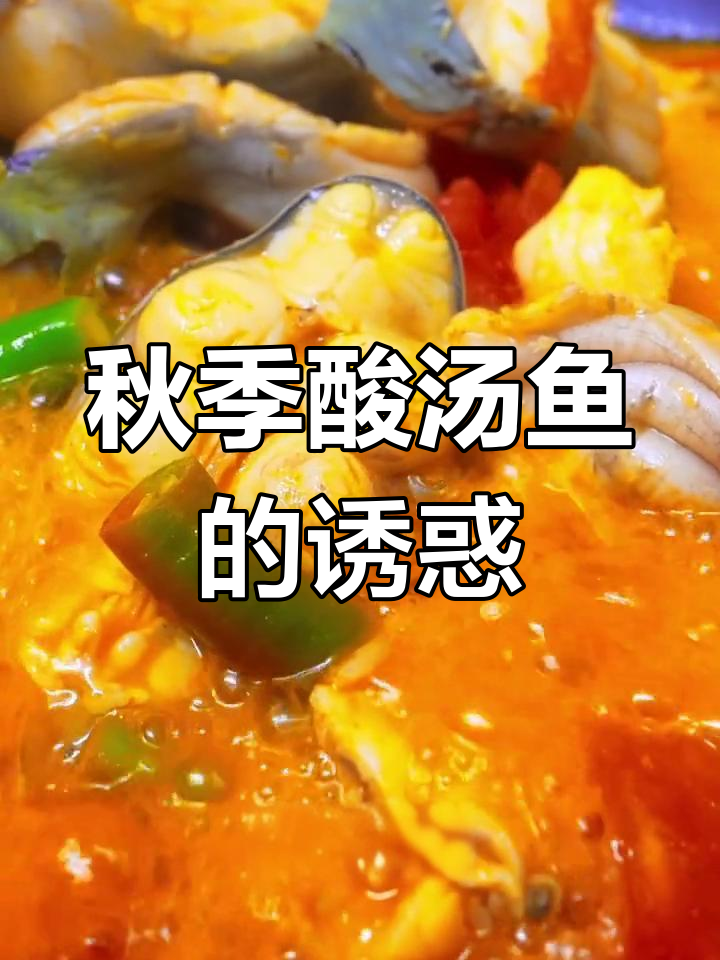秋天酸汤鱼,简单又美味,凯里风味十足