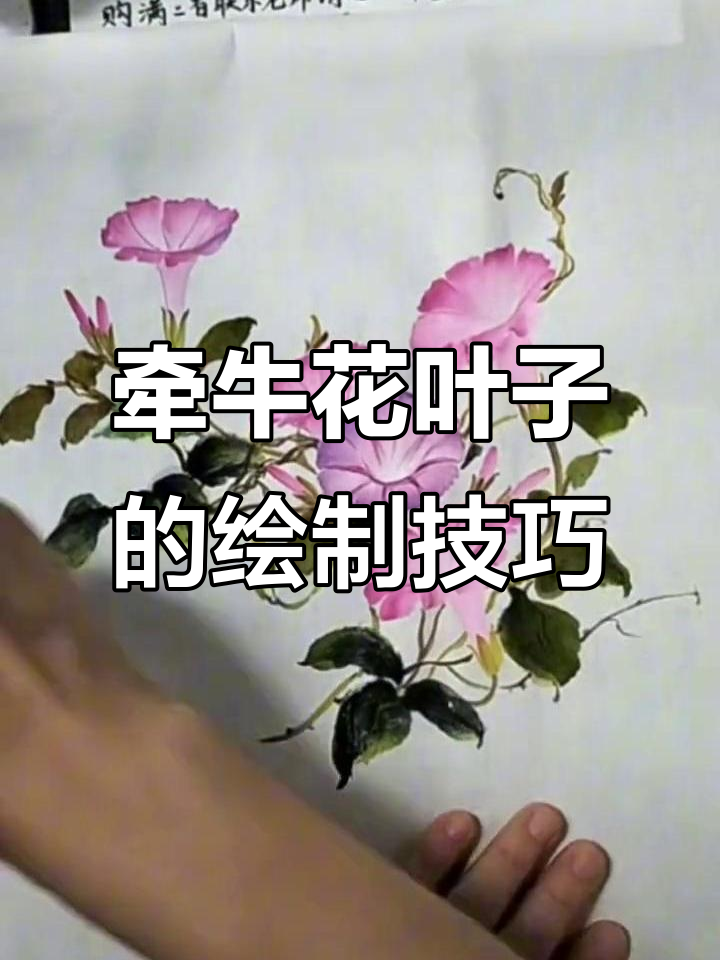 牵牛花叶子画法:从嫩绿到深墨的完美过渡