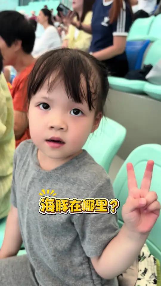 希望看到视频的朋友可以像海豚一样鱼跃龙门