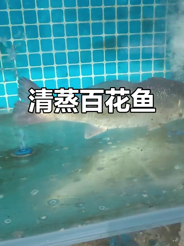百花鱼清蒸做法，鲜嫩无刺，简单又美味