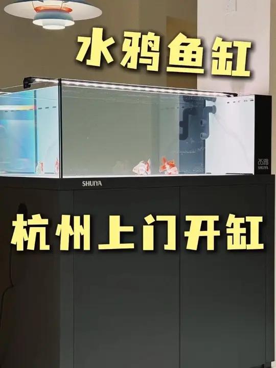 水鸦金鱼缸杭州上门开缸
