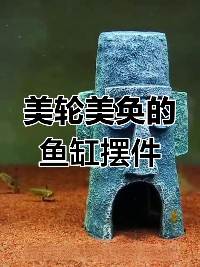 鱼缸装饰品,实物超美,孩子和女友都会爱不释手!