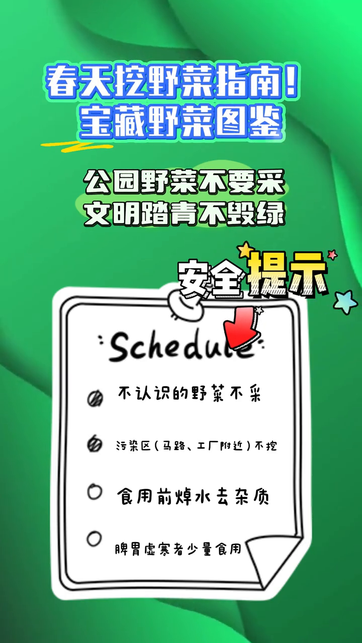 春天挖野菜指南!公园野菜不要采,文明踏青不毁绿~