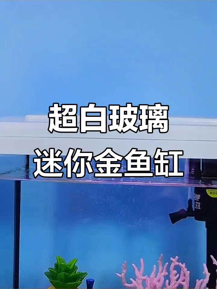 小型超白玻璃鱼缸,懒人必备循环增氧造景设计