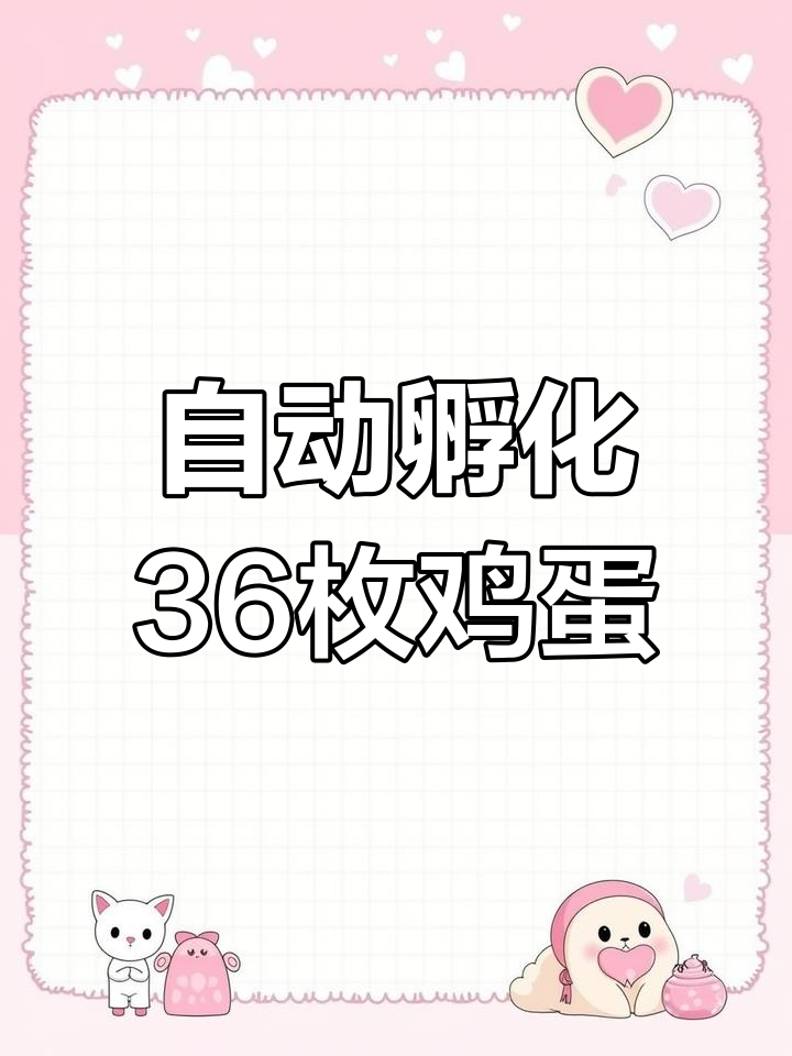 全自动孵化器,轻松孵蛋无忧