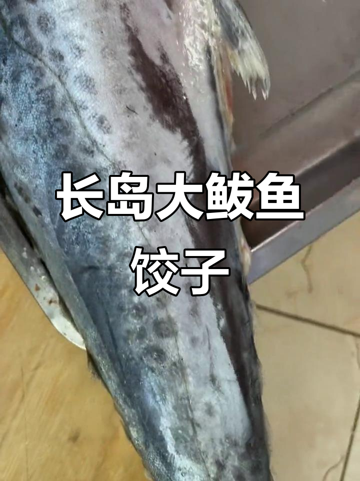 正宗长岛大鲅鱼水饺,鲜嫩无刺,家庭手工制作的美味