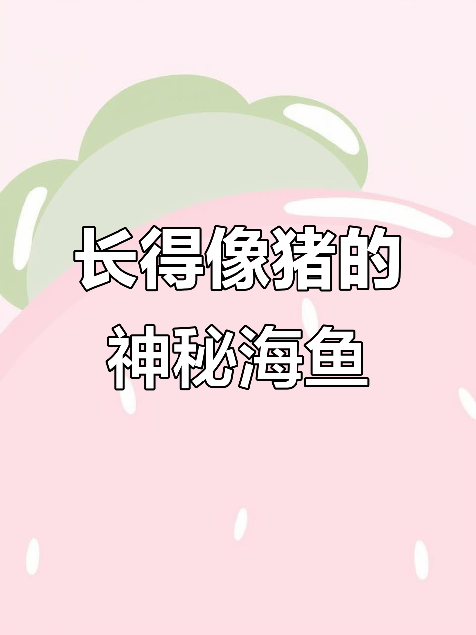 海边惊现“猪”鱼,渔民实拍大揭秘
