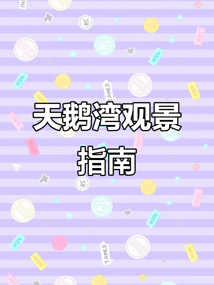 三门峡天鹅湾,绝佳观赏地,天鹅聚集如影