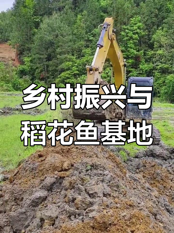 乡村变迁:从荒芜到新生,稻花鱼养殖基地的成长之路