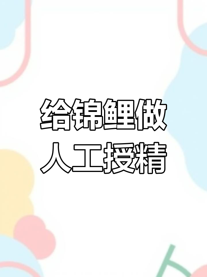 人工繁衍锦鲤全过程揭秘,如何挑选优质鱼卵?