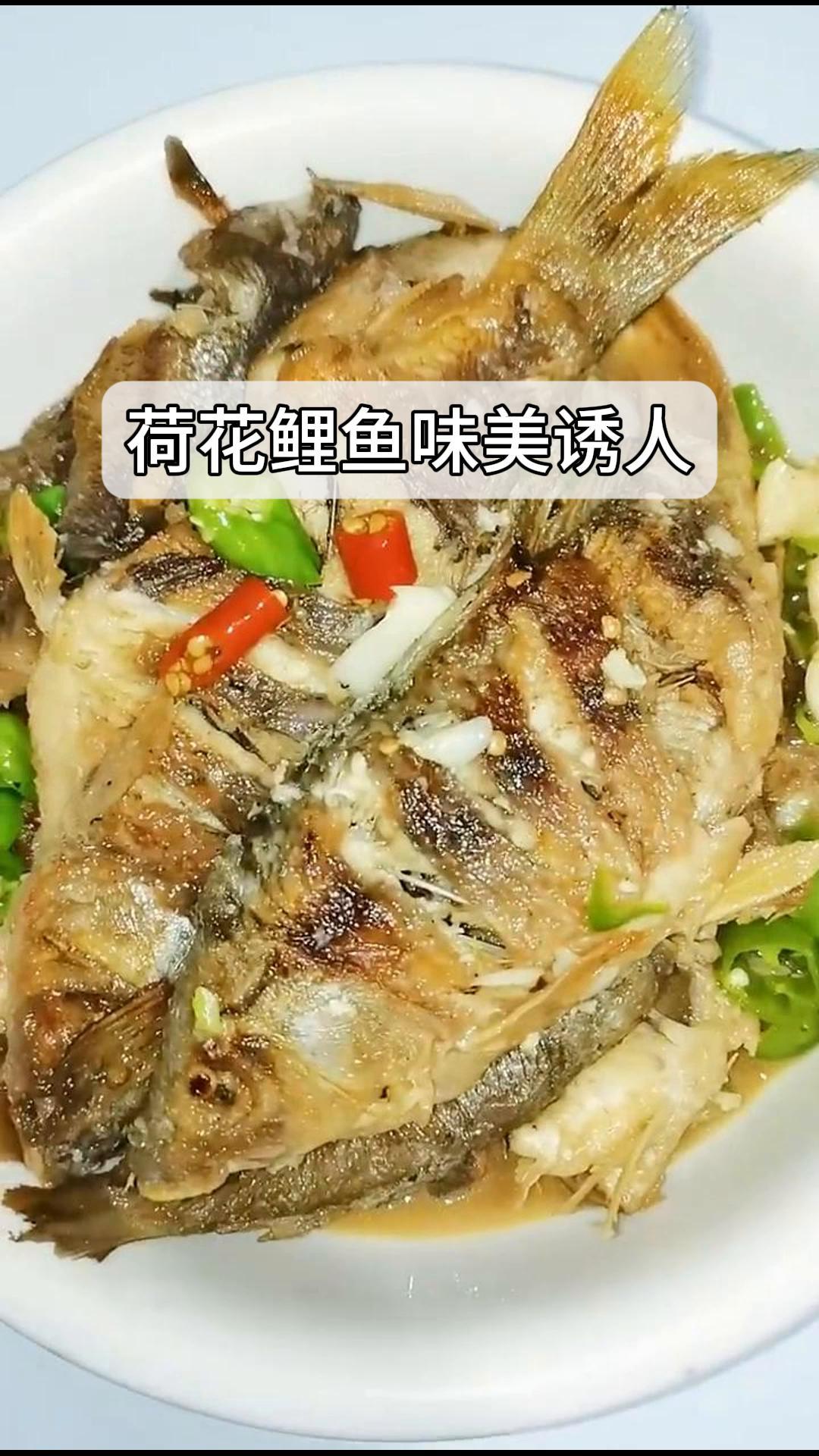 美食,荷花鲤鱼味美诱人