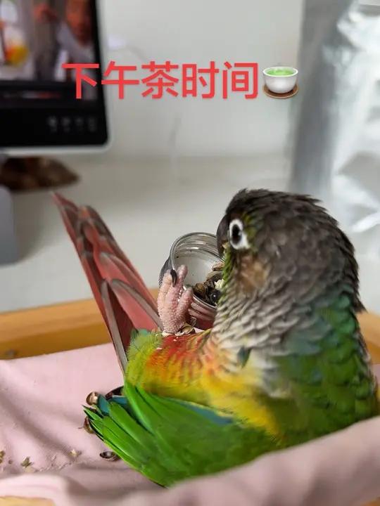 下午茶时间