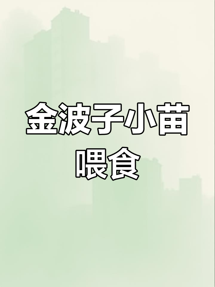 金波子鱼苗开口喂养技巧