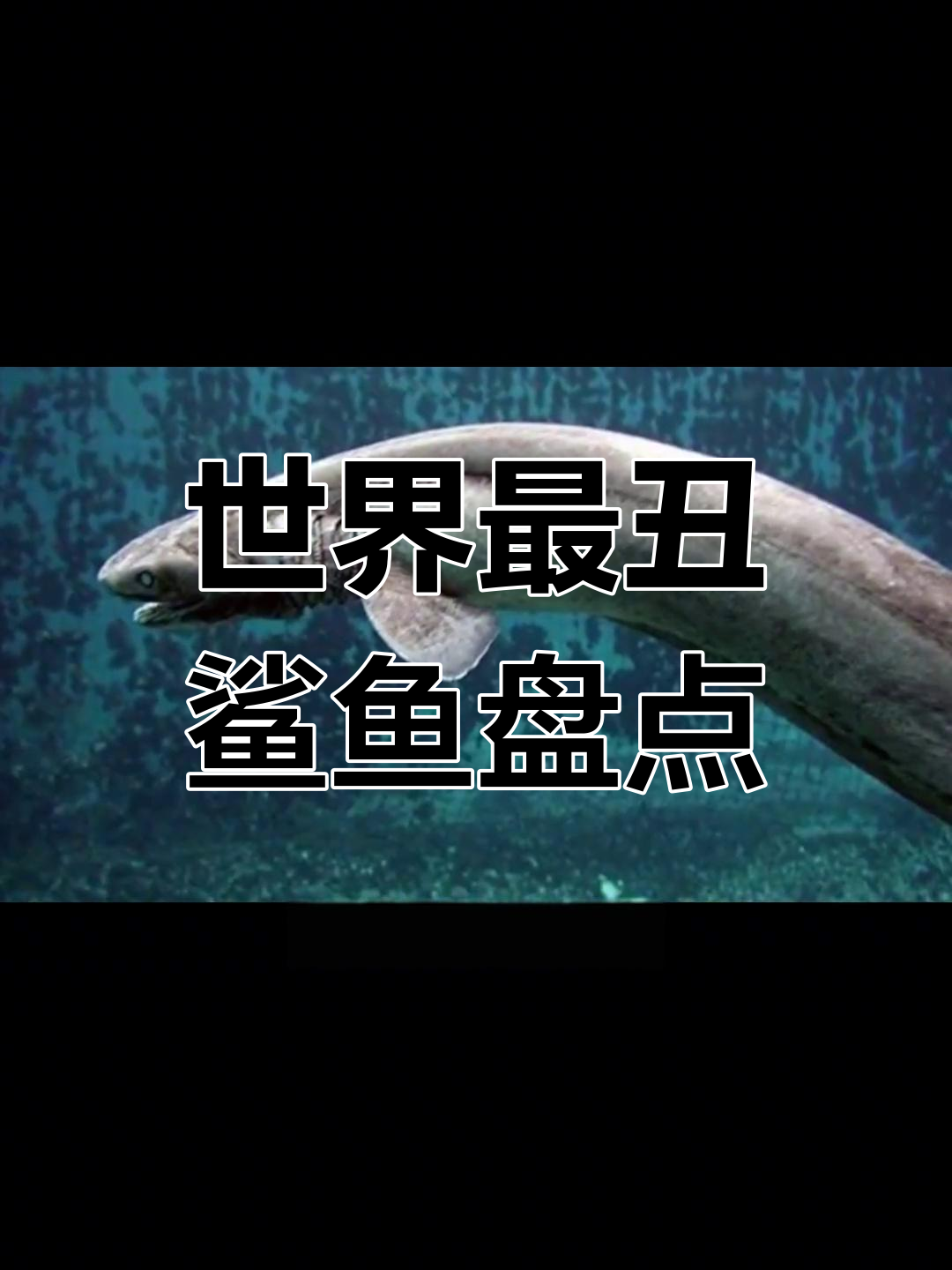 深海中的恐怖鲨鱼,长相惊人