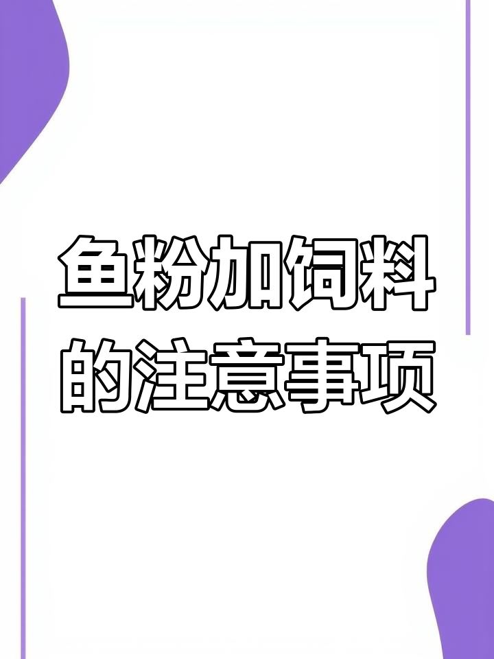 鱼粉能否加入饲料?分析不同情况下的使用效果