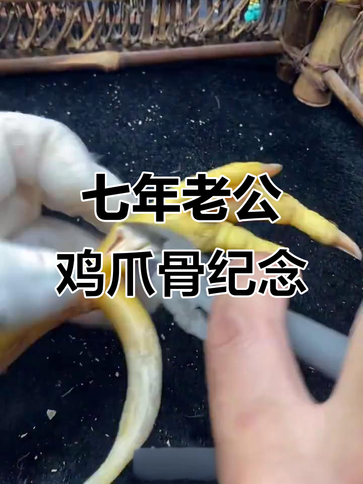 广东老板七年老公鸡去世,爪骨做纪念手把件效果惊艳